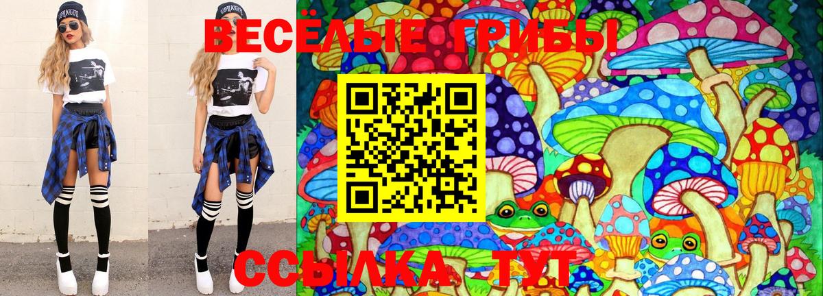 Псилоцибиновые грибы ЛСД  Псилоцибиновые грибы MAGIC MUSHROOMS  наркота  Вход с VPN  Всеволожск 