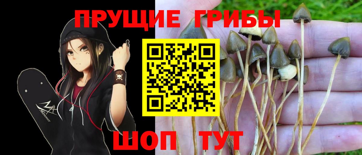 Галлюциногенные грибы мухоморы Всеволожск