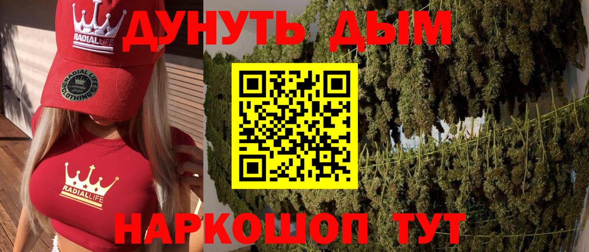 Каннабис план  Канабис семена  Конопля план  Марихуана Bruce Banner  Вход с VPN  Всеволожск 